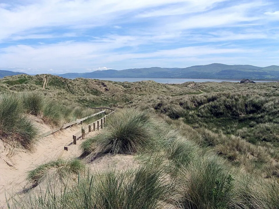 Dyfi National Nature Reserve