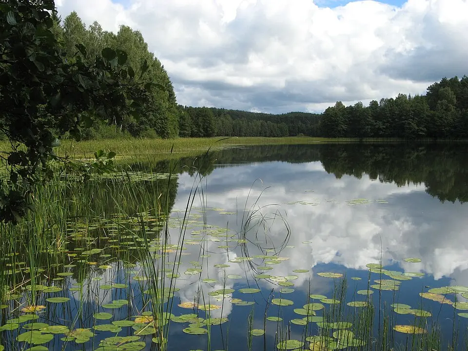 Bytów