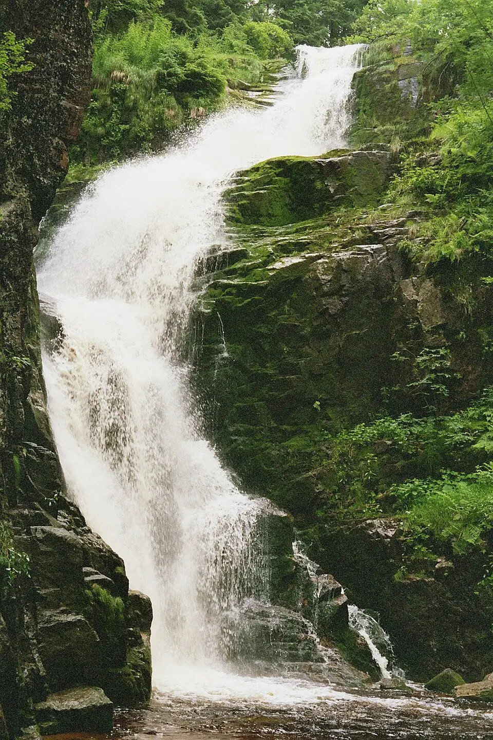 Kamienna