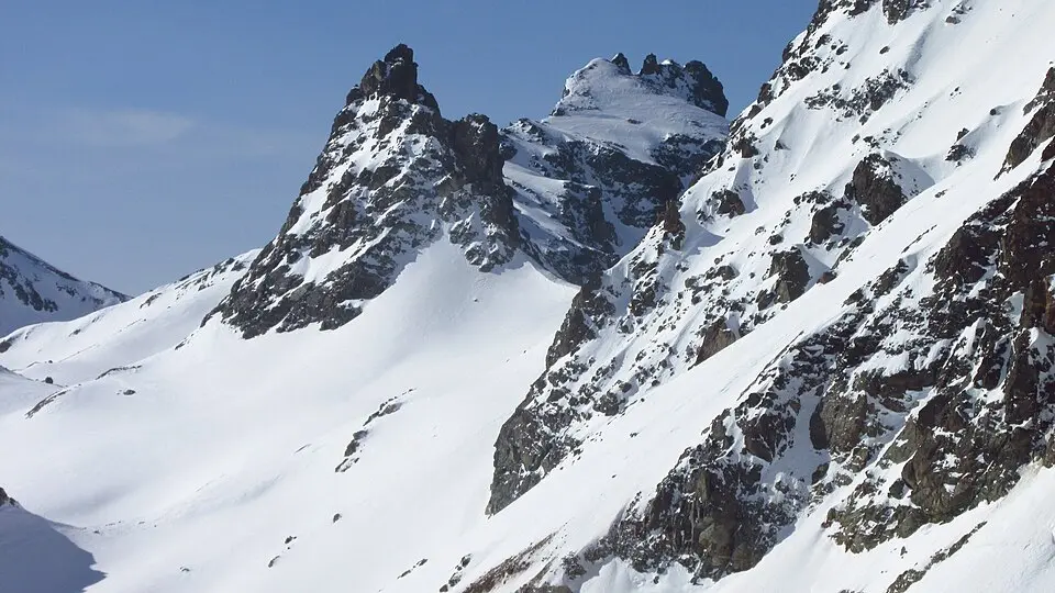 Zahnspitze