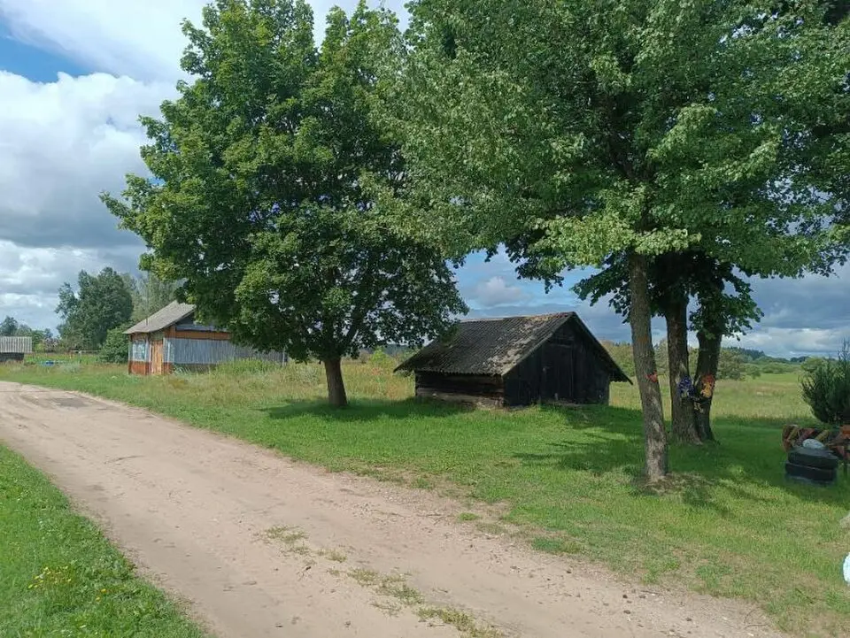 Зайцава