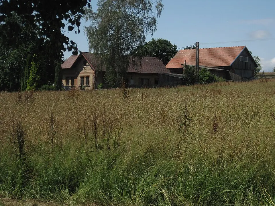 Zajakury
