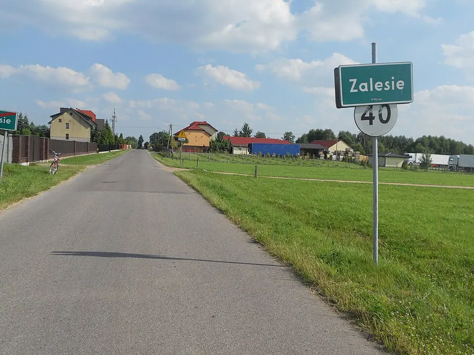 Zalesie