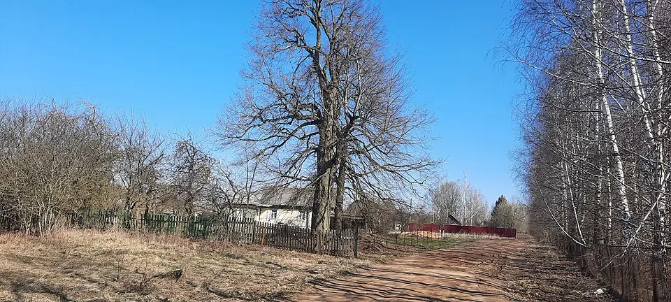 Залесьсе
