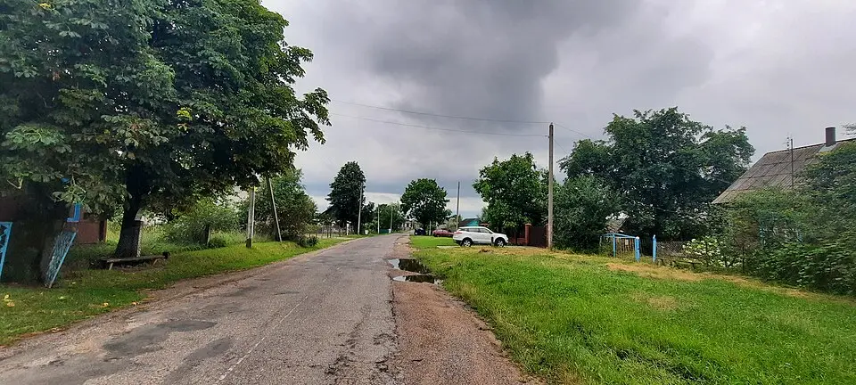 Zaliubičy