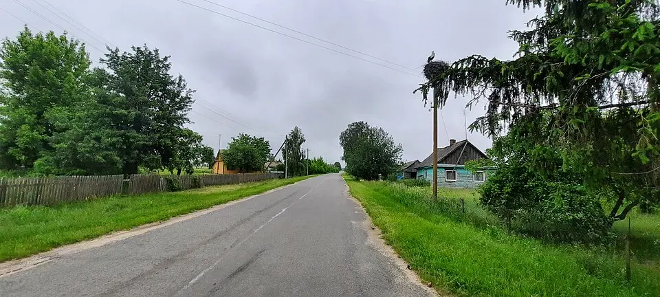 Заплесьсе