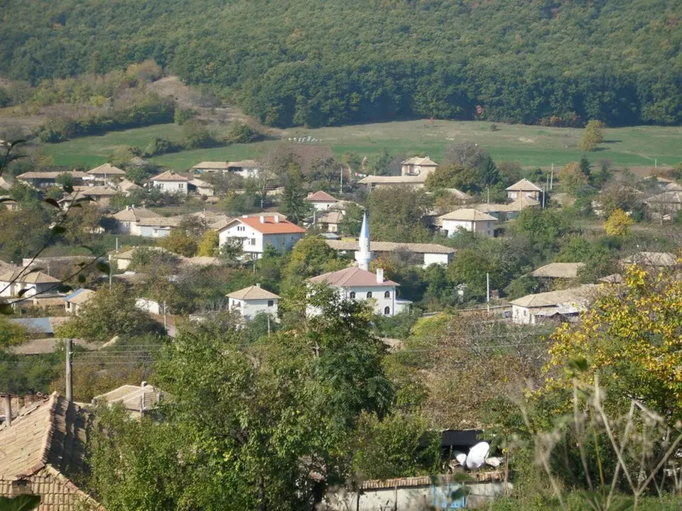 Zaraevo
