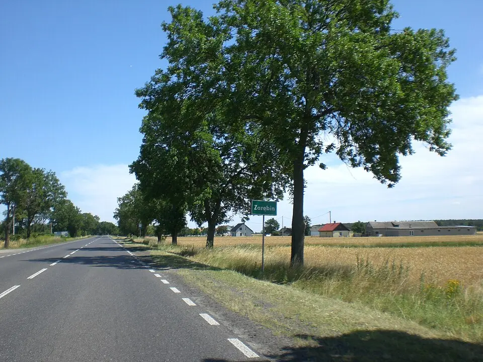 Zarębin