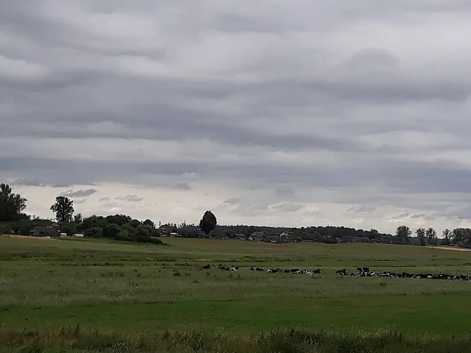 Зарэчча