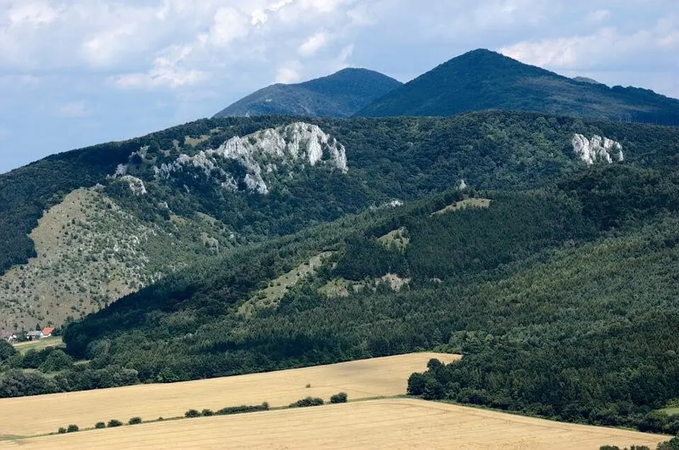 Záruby