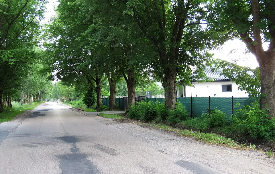Zazdrość