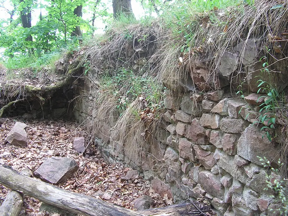 Obřany