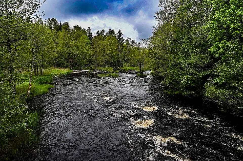 Åråns naturreservat