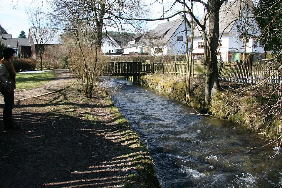 Sonneborn