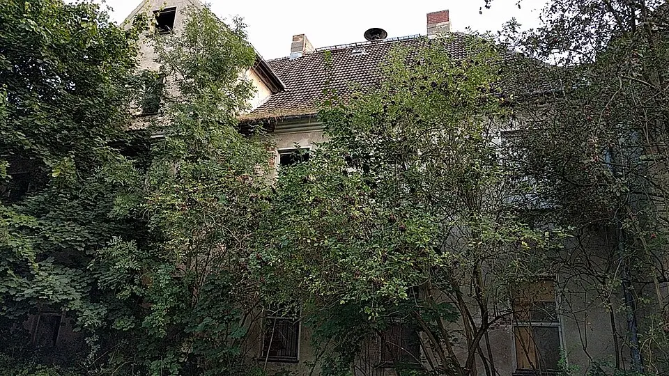 Züsedom