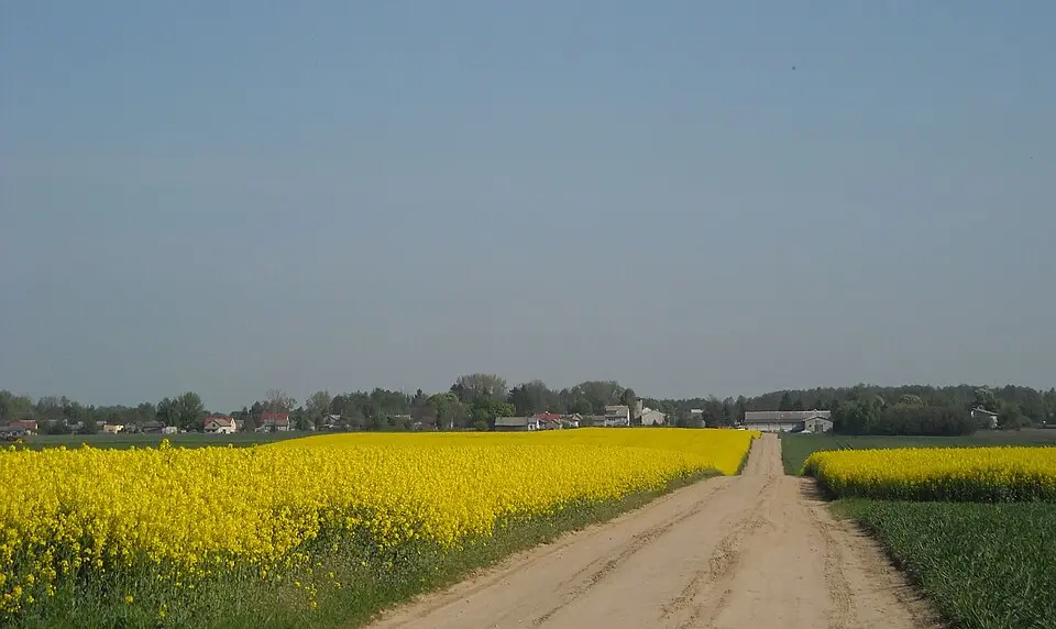 Zdziar Wielki