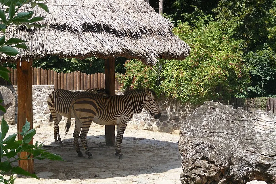 Zoologická záhrada Bojnice