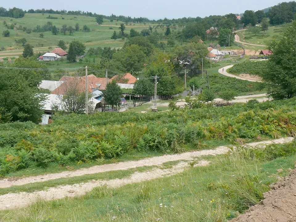 Șuncuiuș
