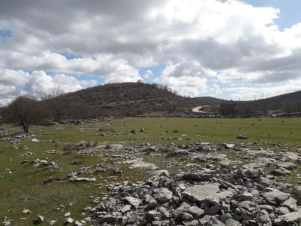 Zelengrad
