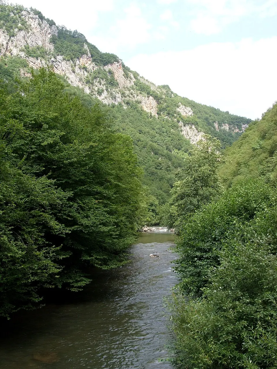 Željeznica (pritoka Bosne)