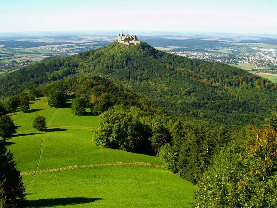Zeller Horn