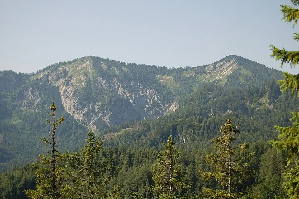 Großer Zellerhut