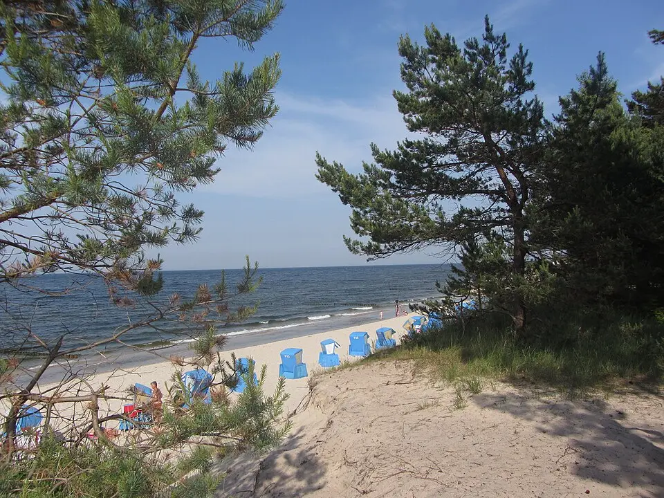 Zempin