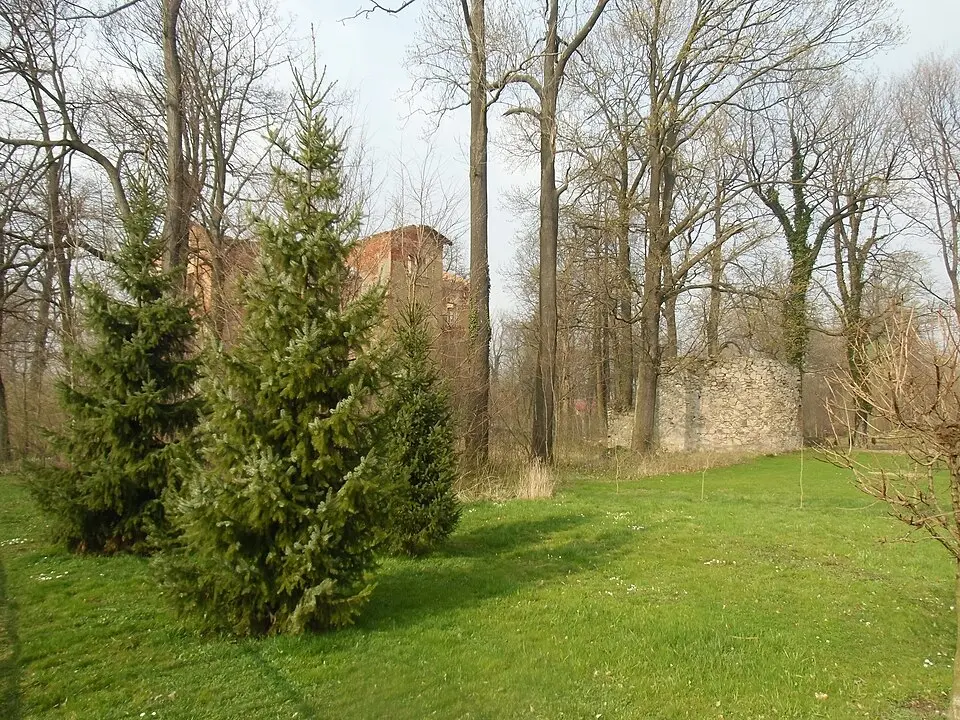 Park pałacowy, poł. XVIII