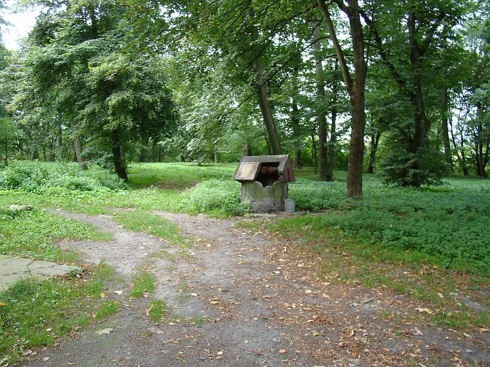 Park z aleją widokową oraz drzewostanem, z dziedzińcem przed pałacem
