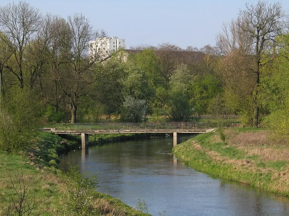 Zgłowiączka