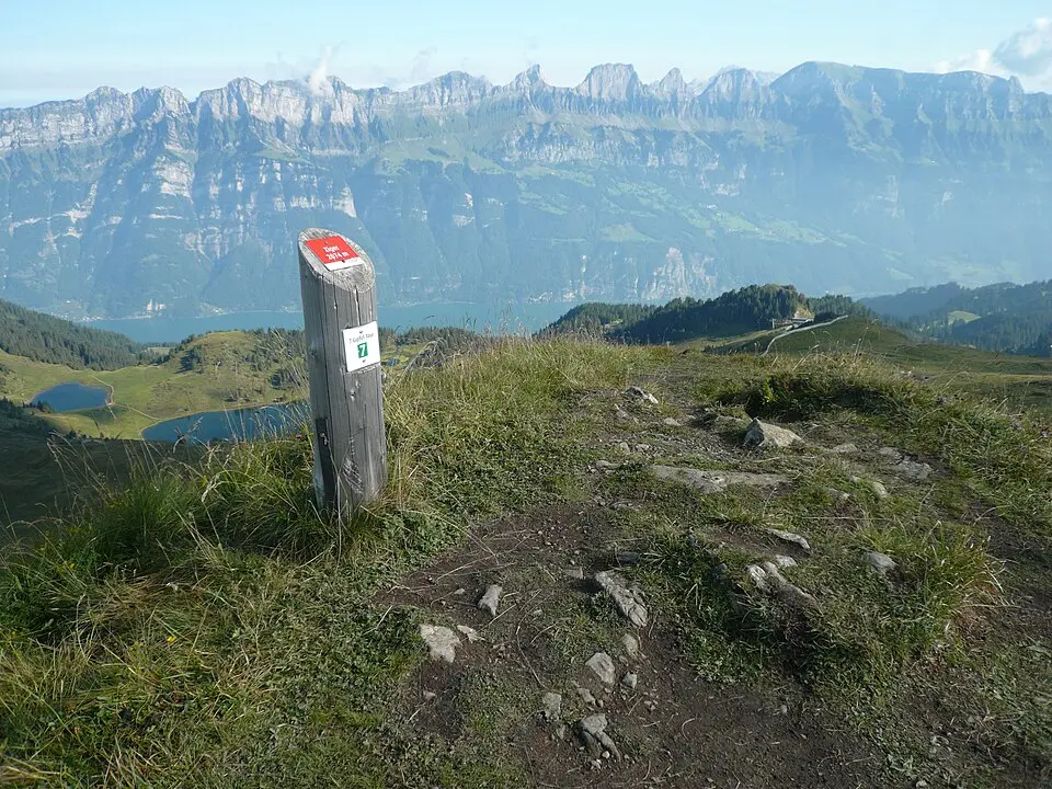 Ziger