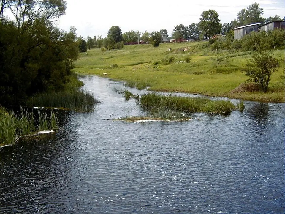 Zilupe