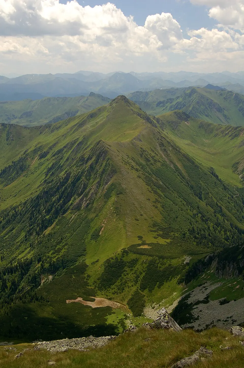 Perwurzgupf