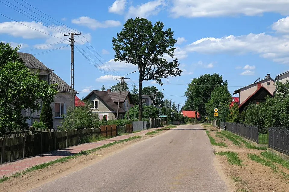 Ziomek