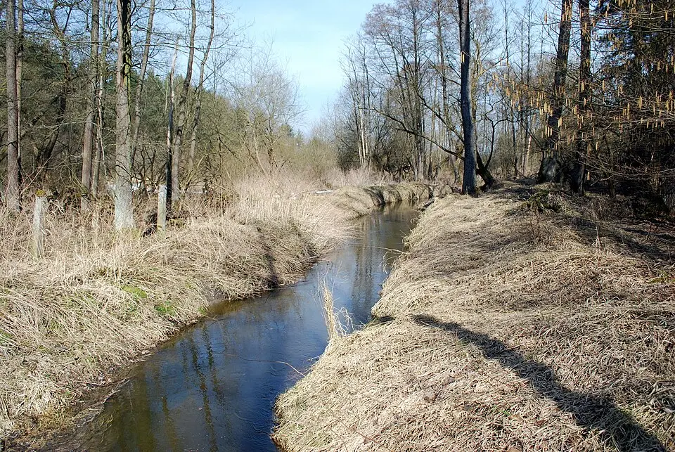 Zlatá stoka