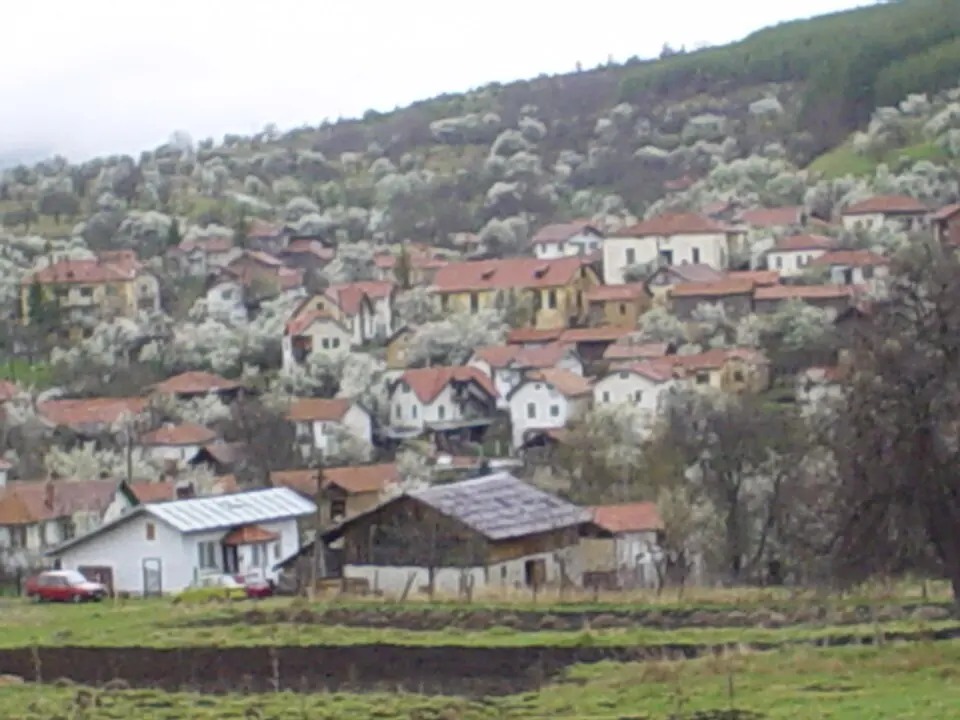 Злогош