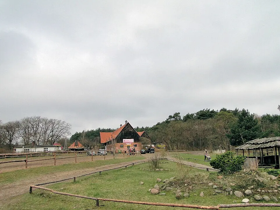 Żółtew
