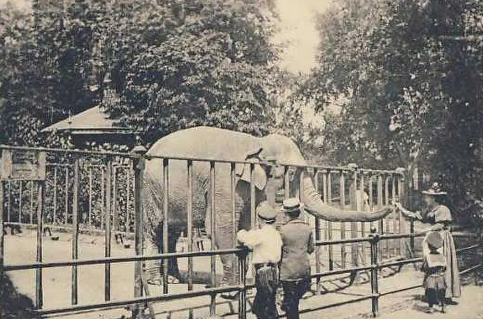 zoo di Hambourg