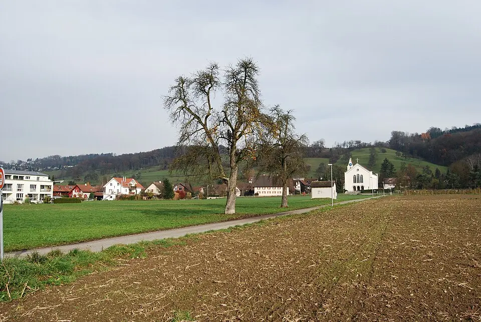 Zufikon