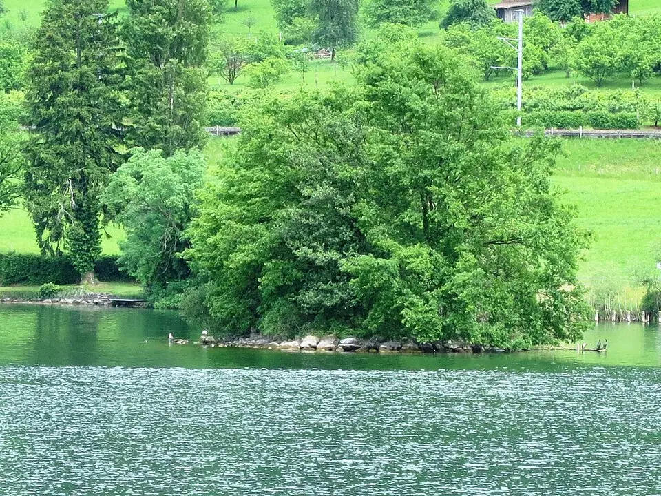 Oterswil-Insel Eielen (CH-ZG-04)
