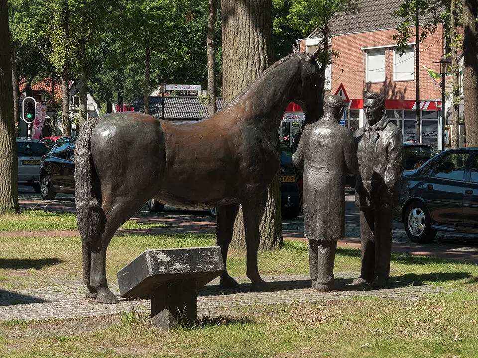Zuidlaardermarkt