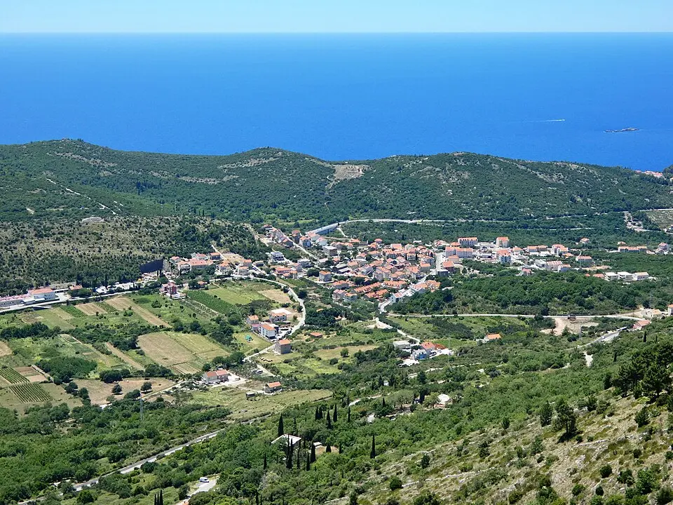 Zvekovica