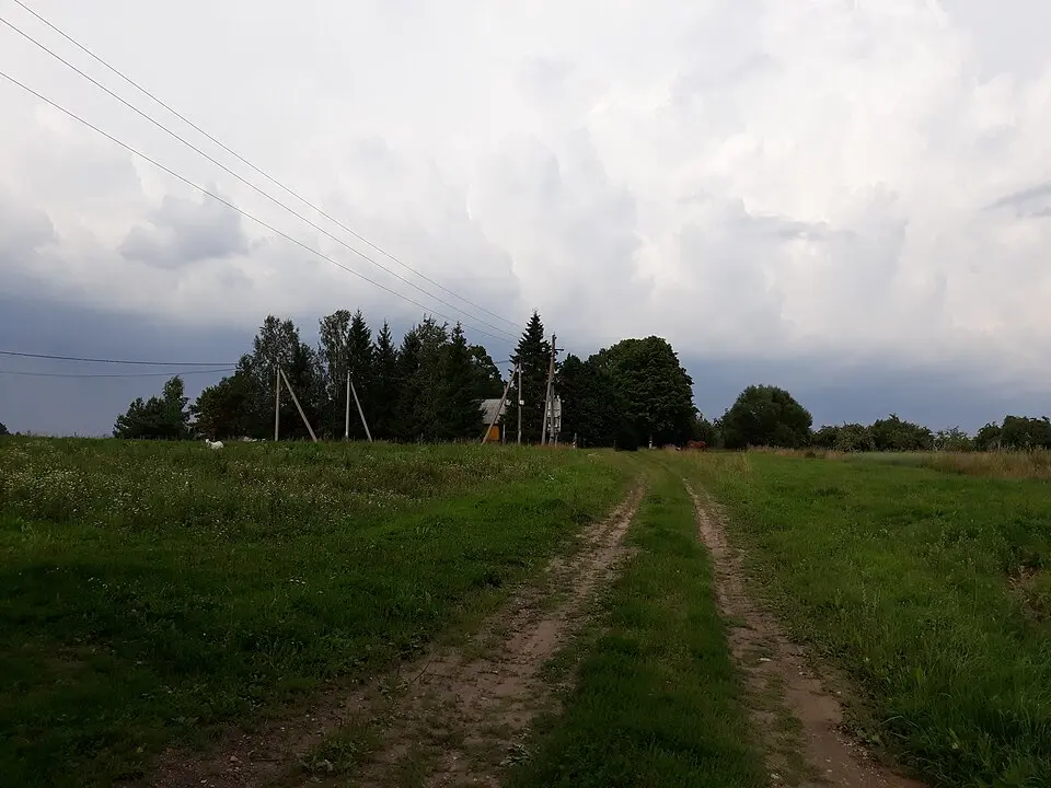 Zviarki