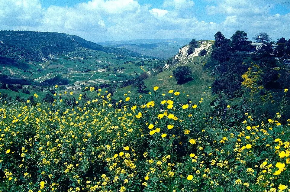 Pano Archimandrita