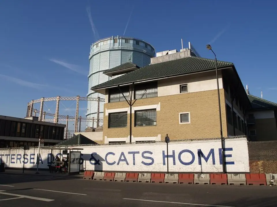 Battersea Dogs and Cats Home