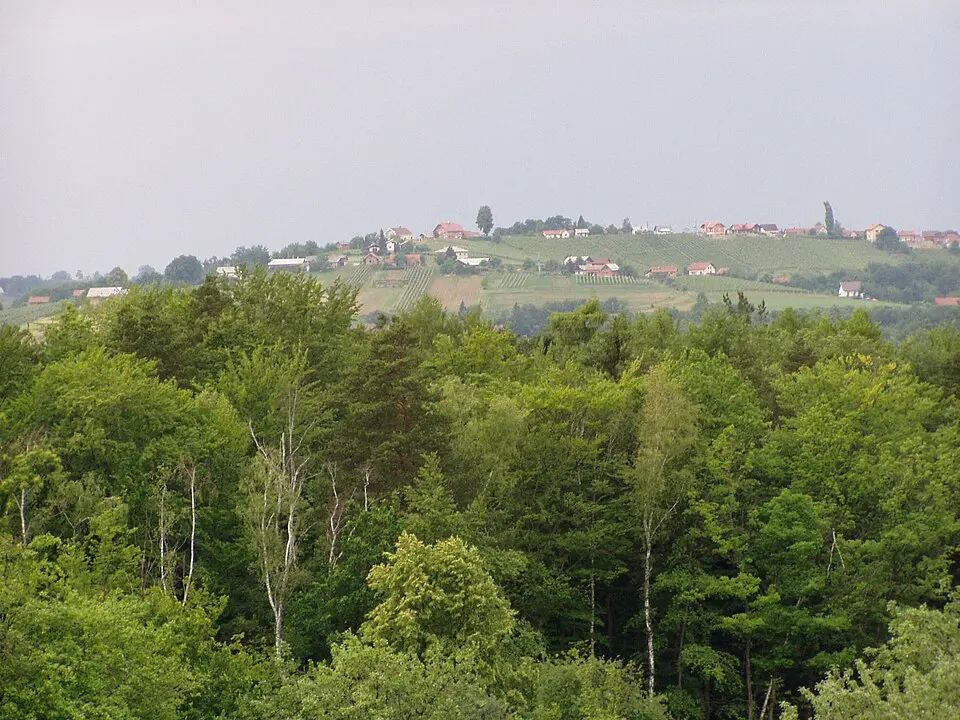 Hum pri Ormožu