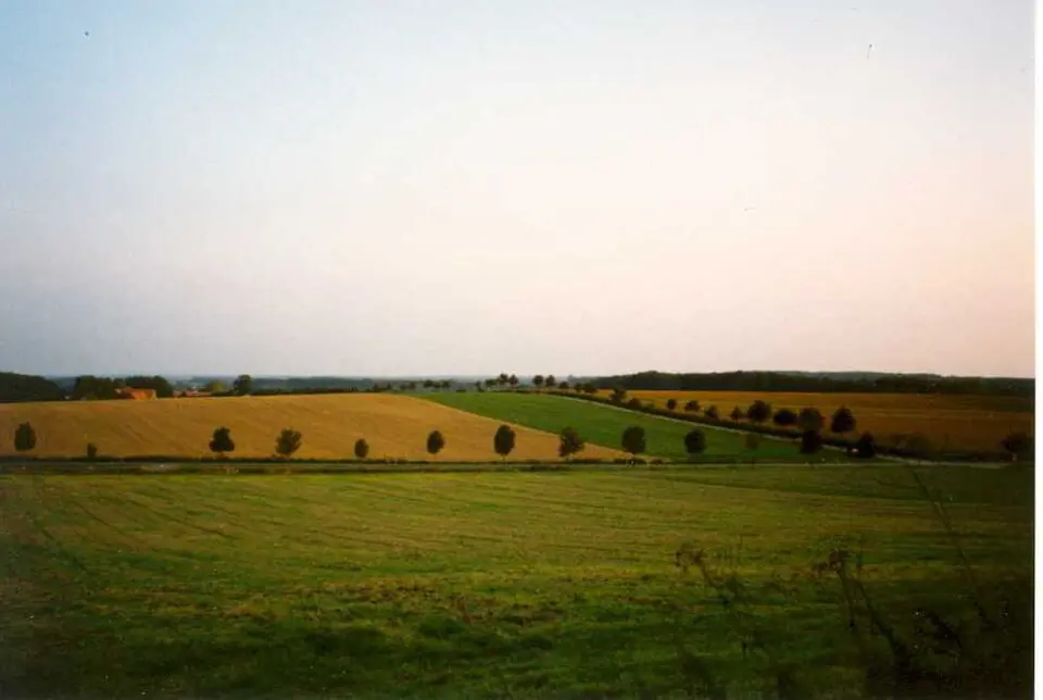 Baumberge