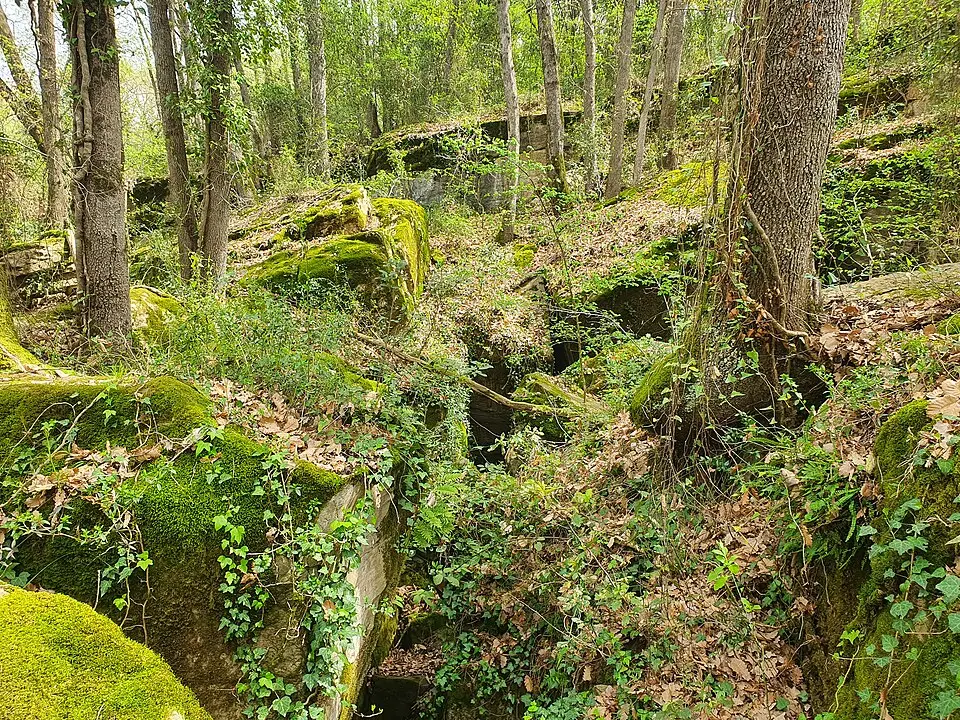 Obrázok: Quelet · CC BY-SA 3.0 Caixurma caves