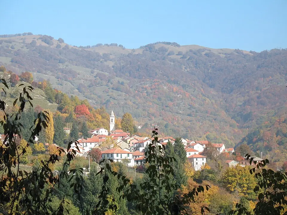 Bavastrelli