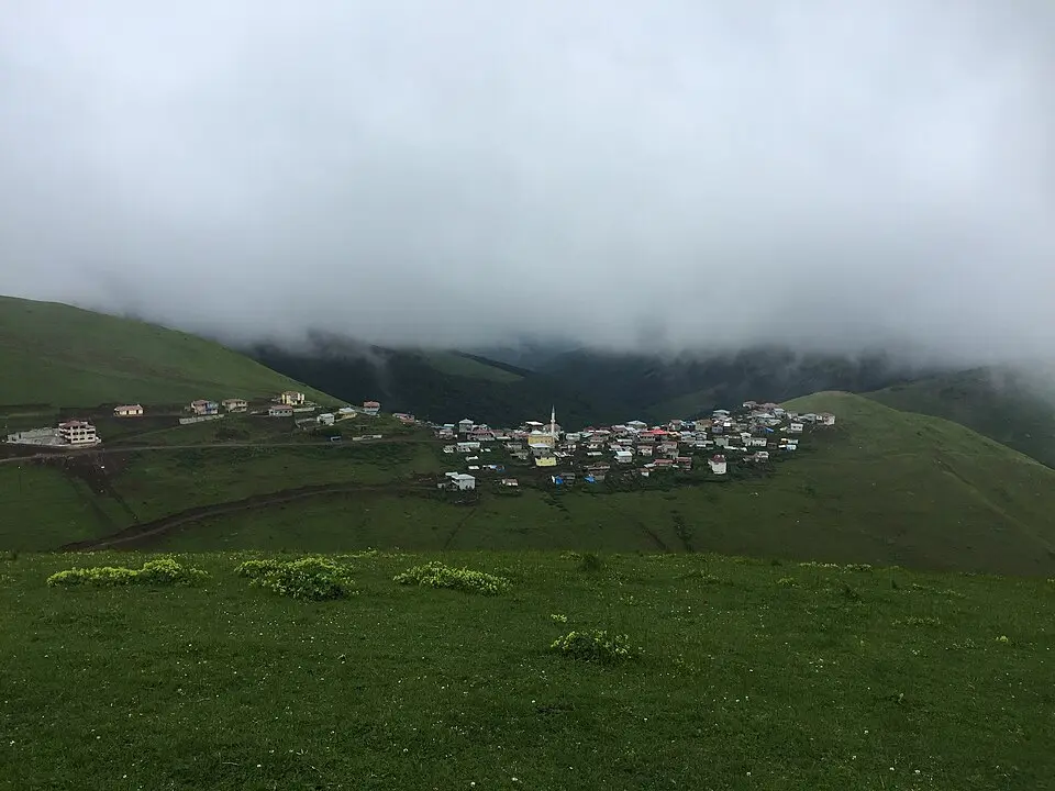 Baydarlı